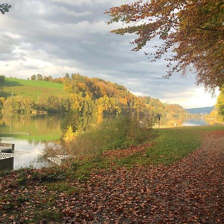 Charming Studio Near Rotsee Lucerne Kitchen/Wifi/Wasching Machine Dış mekan fotoğraf