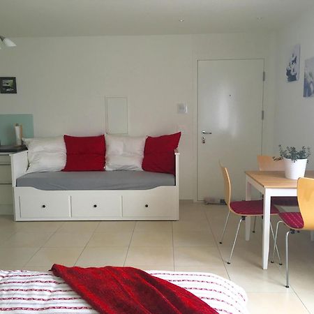 Charming Studio Near Rotsee Lucerne Kitchen/Wifi/Wasching Machine Dış mekan fotoğraf