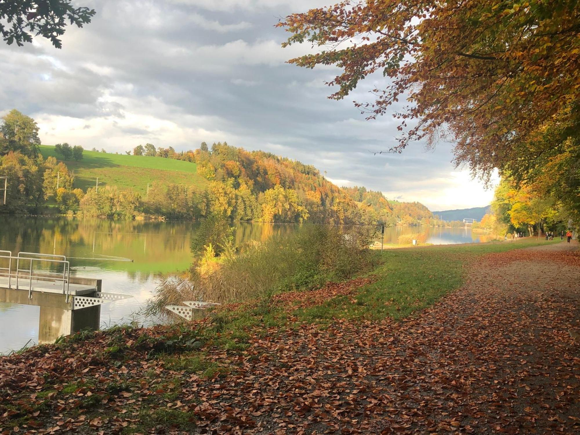 Charming Studio Near Rotsee Lucerne Kitchen/Wifi/Wasching Machine Dış mekan fotoğraf