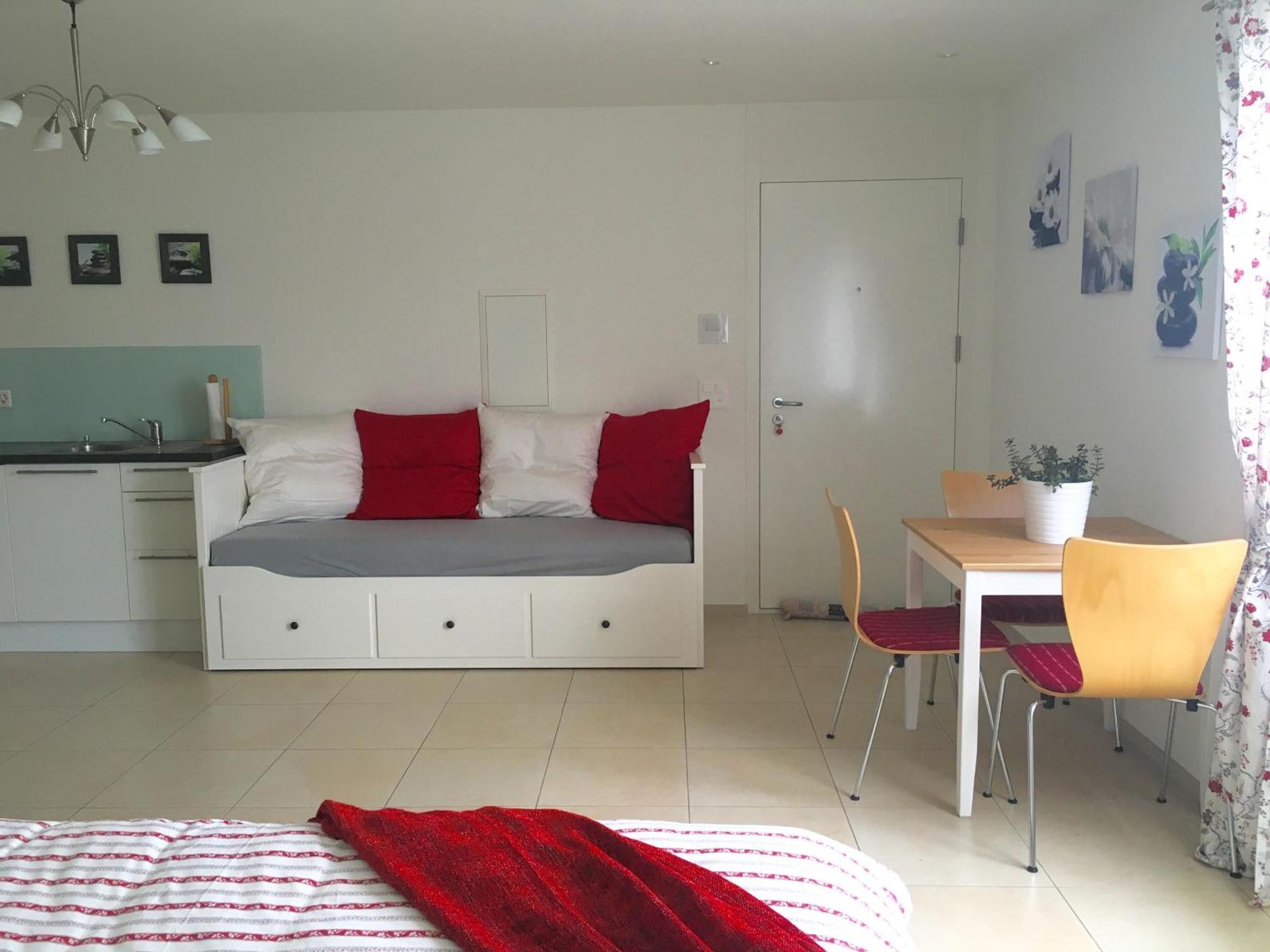 Charming Studio Near Rotsee Lucerne Kitchen/Wifi/Wasching Machine Dış mekan fotoğraf